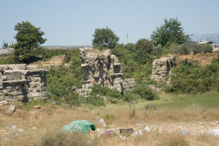 IMG_4666.jpg