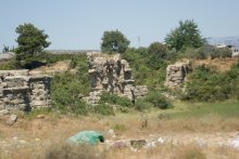 IMG_4666.jpg