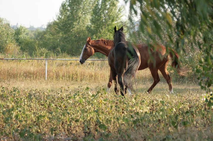 IMG_5643.jpg