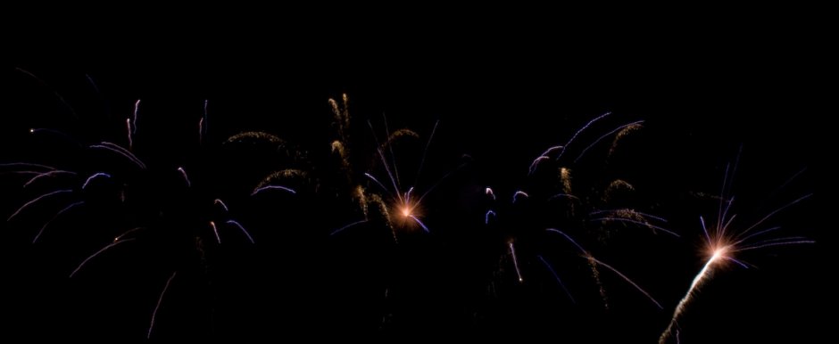 IMG_4020.jpg